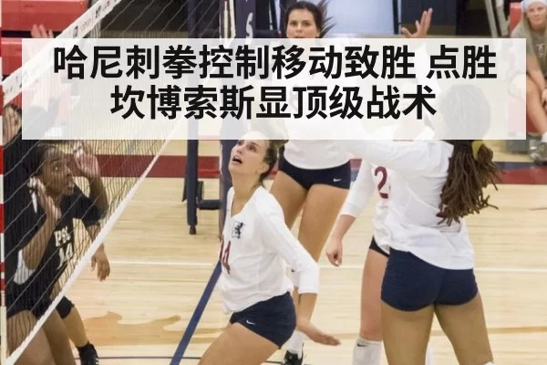 哈尼刺拳控制移动致胜 点胜坎博索斯显顶级战术