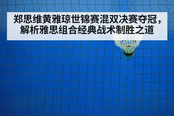 badminton net play